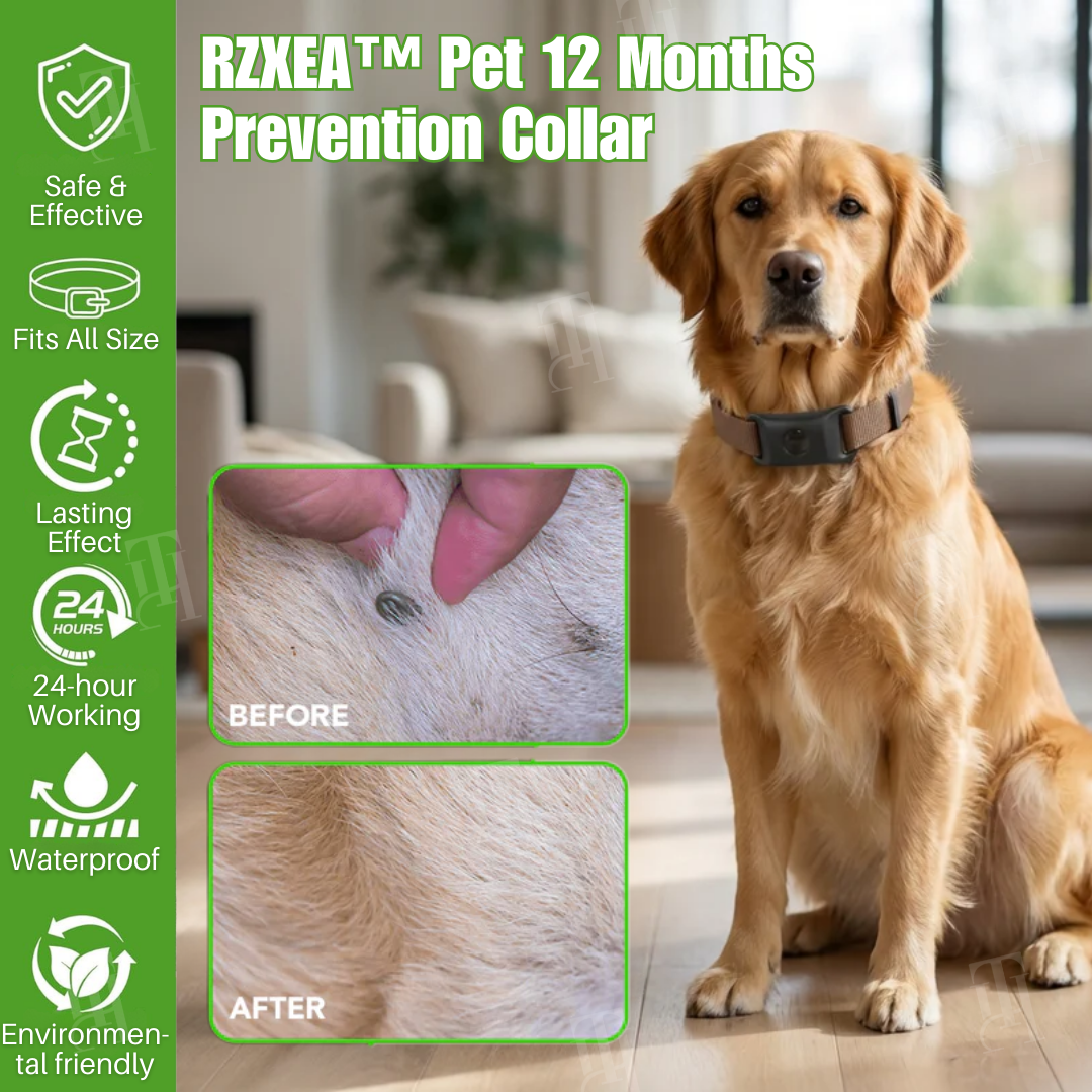 ⚡⚡⚡LAST 44 PCS LEFT!!! RZXEA™ Pet 12 Months Prevention Collar