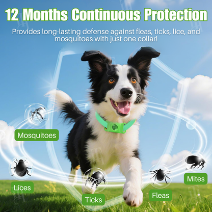 ⚡⚡⚡LAST 44 PCS LEFT!!! RZXEA™ Pet 12 Months Prevention Collar