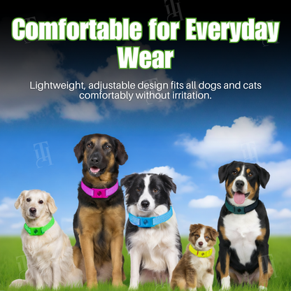 ⚡⚡⚡LAST 44 PCS LEFT!!! RZXEA™ Pet 12 Months Prevention Collar