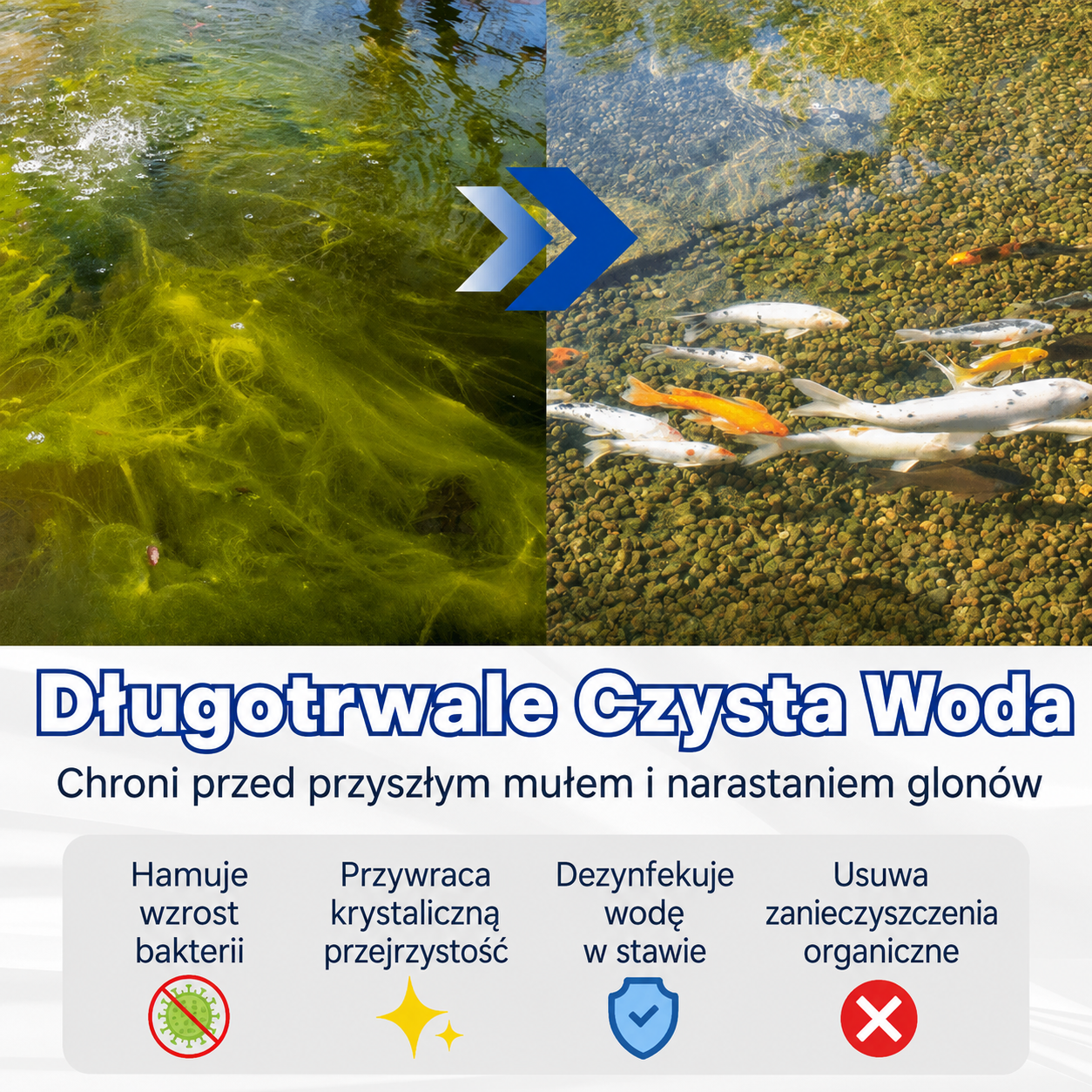🌟 Oficjalny sklep | ⏱️ Krystalicznie czysta w 24 godziny! AEXZR® Aqua-Guardian Profesjonalna Formuła