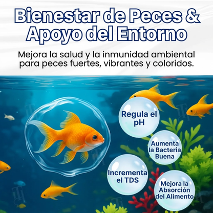 🌟 Tienda Oficial | ⏱️ ¡Agua Cristalina en 24 Horas! | Fórmula Profesional AEXZR® Aqua-Guardian
