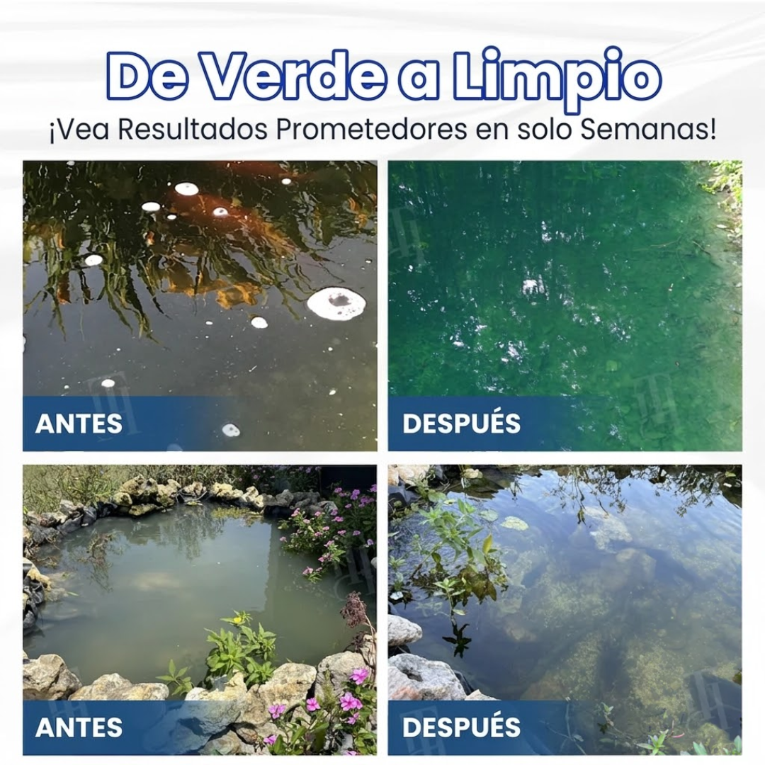 🌟 Tienda Oficial | ⏱️ ¡Agua Cristalina en 24 Horas! | Fórmula Profesional AEXZR® Aqua-Guardian