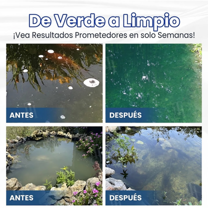 🌟 Tienda Oficial | ⏱️ ¡Agua Cristalina en 24 Horas! | Fórmula Profesional AEXZR® Aqua-Guardian