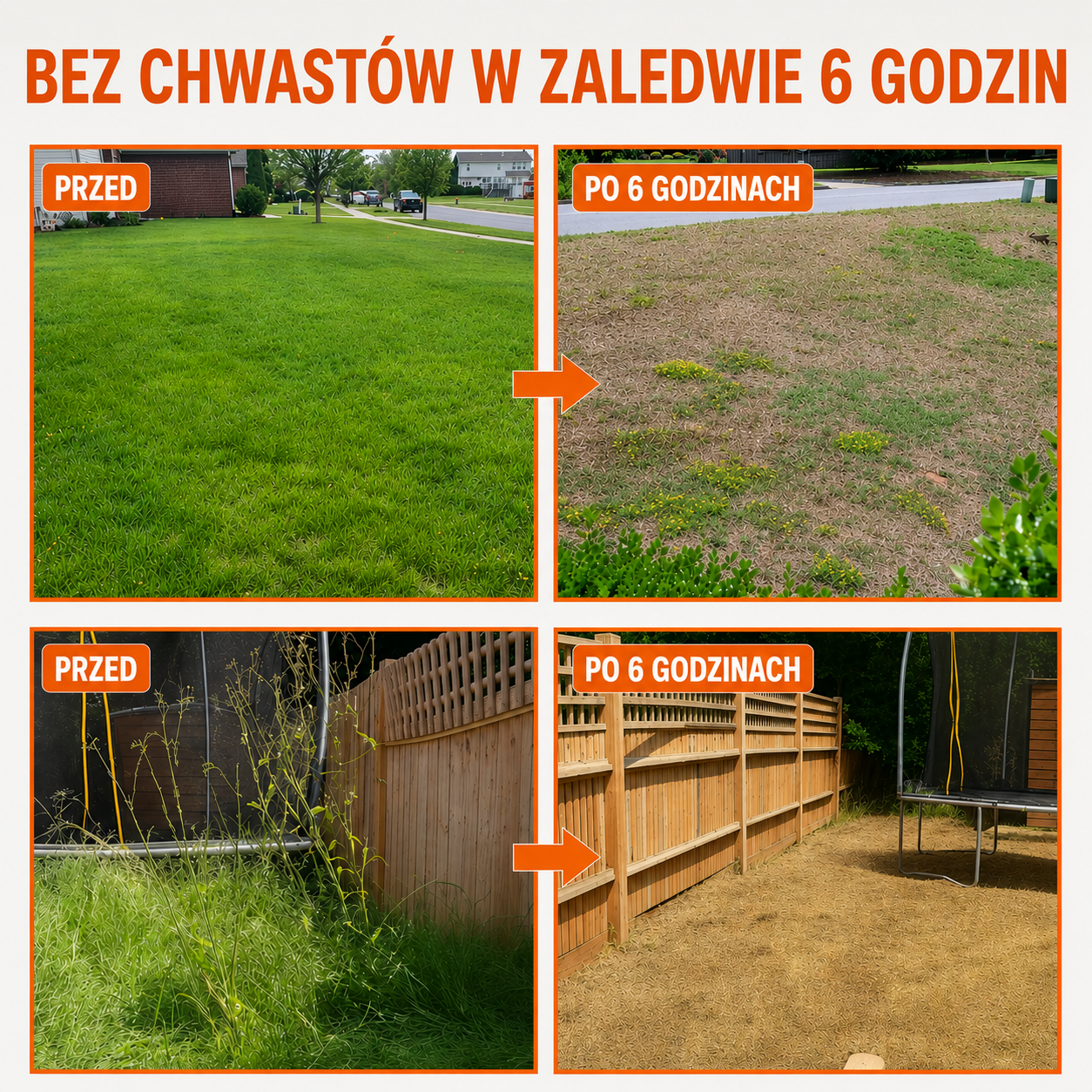 🌟 Oficjalny Sklep | ⏳ Zobacz, jak chwasty usychają w 6 godzin! AEXZR® 2 w 1 Herbicyd o maksymalnej sile(100% bez glifosatu)