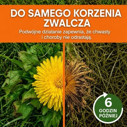 🌟 Oficjalny Sklep | ⏳ Zobacz, jak chwasty usychają w 6 godzin! AEXZR® 2 w 1 Herbicyd o maksymalnej sile(100% bez glifosatu)