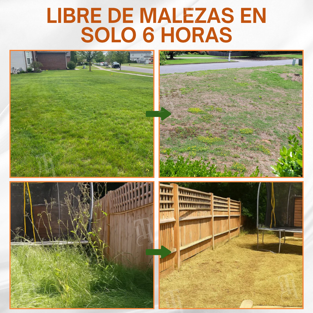 ✨ ¡De jungla de maleza a césped perfecto! | ⏱️ ¡Mira cómo se marchitan las malas hierbas en 6 horas! | AEXZR® 2-in-1 Herbicida Máxima Potencia