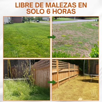 ✨ ¡De jungla de maleza a césped perfecto! | ⏱️ ¡Mira cómo se marchitan las malas hierbas en 6 horas! | AEXZR® 2-in-1 Herbicida Máxima Potencia