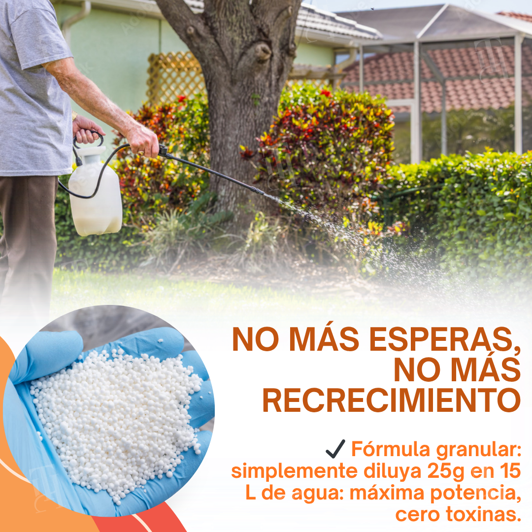✨ ¡De jungla de maleza a césped perfecto! | ⏱️ ¡Mira cómo se marchitan las malas hierbas en 6 horas! | AEXZR® 2-in-1 Herbicida Máxima Potencia