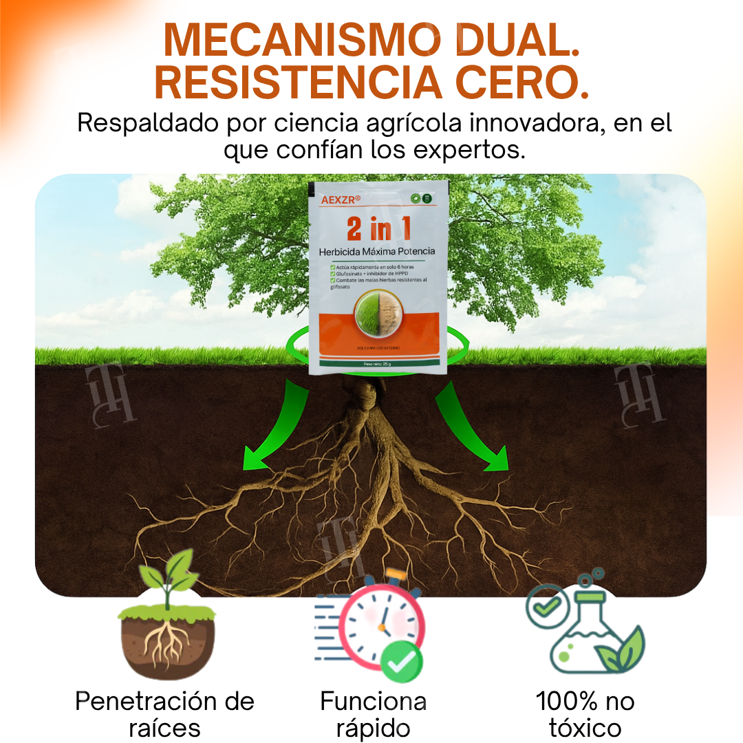 ✨ ¡De jungla de maleza a césped perfecto! | ⏱️ ¡Mira cómo se marchitan las malas hierbas en 6 horas! | AEXZR® 2-in-1 Herbicida Máxima Potencia